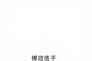 桌上摊开的选角名册第三版与签字笔